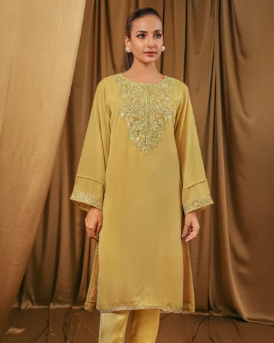 Female Regular Fit Round-Neck Long Kameez | Golden Fleece