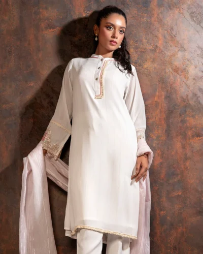 Embroidered Zari Crepe Georgette Designer Long Kameez | Whisper White