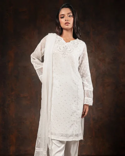 Embroidered Chiffon Velvet Dot Kameez | Ghost White