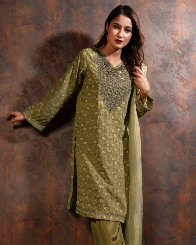 Embroidered Fine Georgette Kameez | Martini Olive