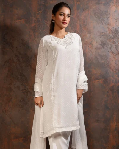 Embroidered Chiffon Velvet Dot Kameez | White