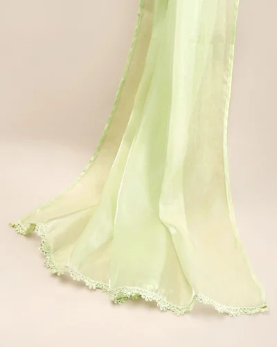 Premium Organza Dupatta | Bottle Green
