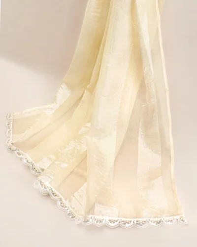 Premium Organza Dupatta | Salt White