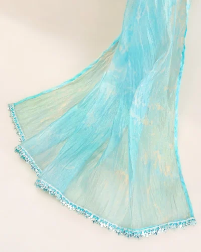 Premium Organza Dupatta | Blue