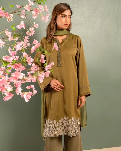 Embroidered  Luxury Double Silk Short Kameez | Burnt Olive