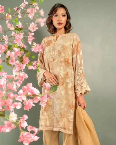 Embroidered Organza Fine Georgette Short Kameez | Beige Brown