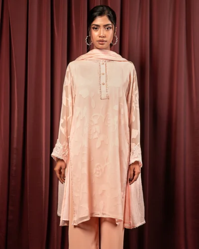 Embroidered Organza Fine Georgette Short  Kameez | Pale Pink