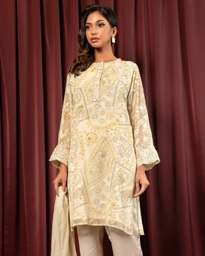 Embroidered Organza Fine Georgette Short  Kameez | Lime Cream Green